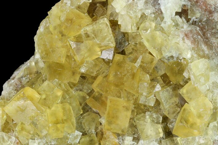 Yellow Cubic Fluorite Crystal Cluster - Morocco #141647